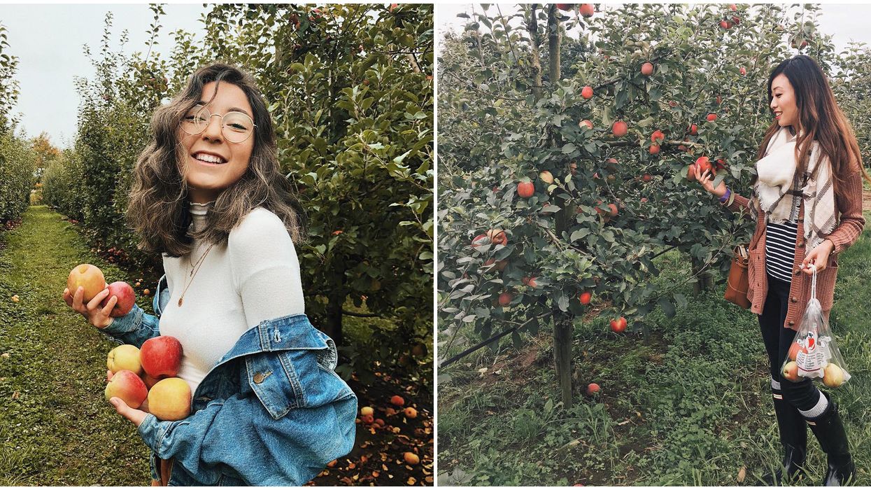 Apple Picking In BC: 4 Adorable Places To Find This Fall