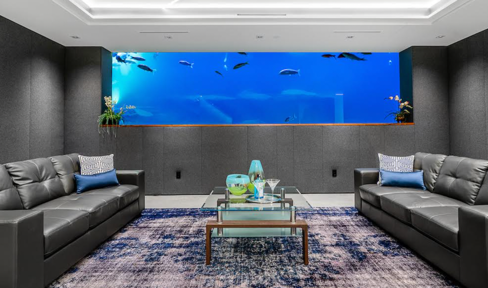 Aquarium in the home.