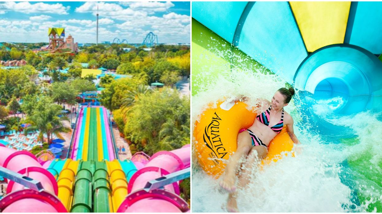 Aquatica Orlando Groupon Deal Will Take You On A Tubing Adventure For Cheap