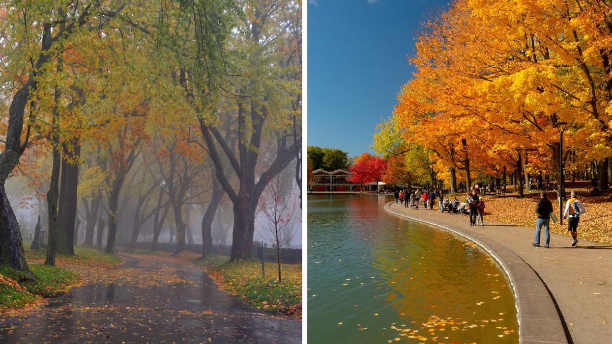 Arbres sous la pluie en automne. Droite : Des gens qui se promènent au parc en automne.