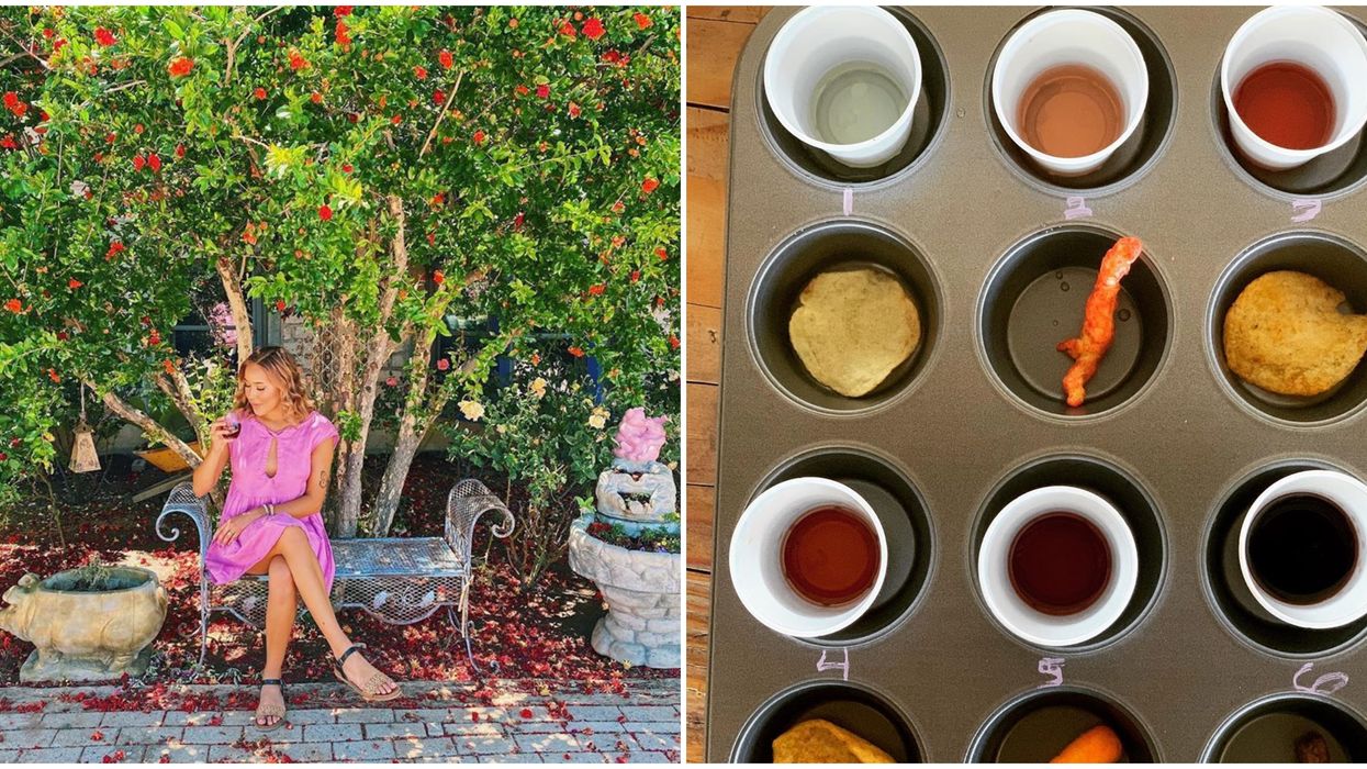 Arizona Hops & Vines Lets You Pair Wine With Hot Cheetos