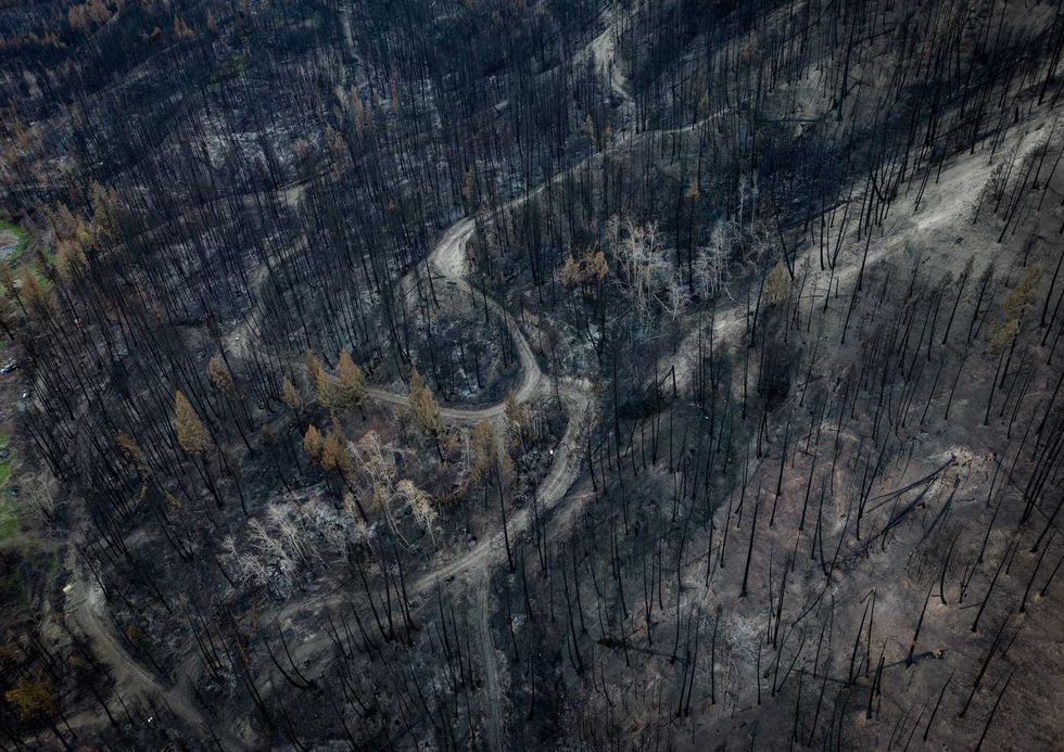 Ashes pave road to recovery after B.C. wildfires
