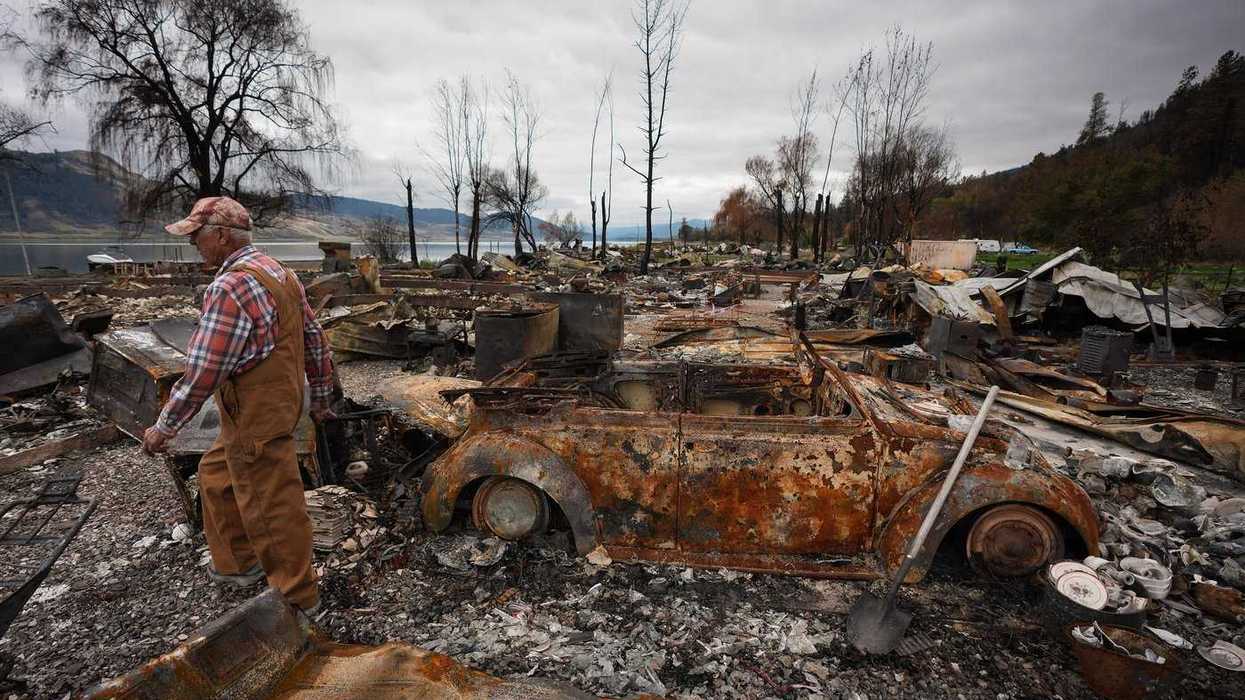 Ashes pave road to recovery after B.C. wildfires