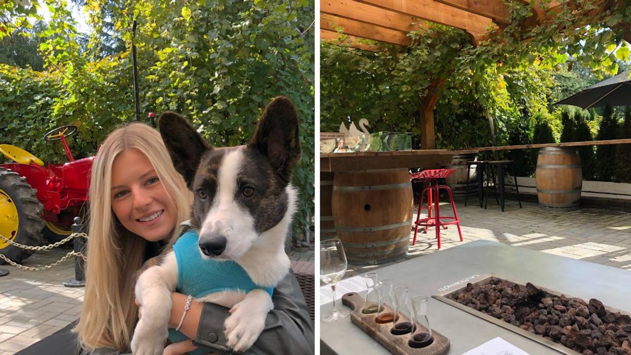 Ashley Harris and Hercules. Right: Country Vines Winery.