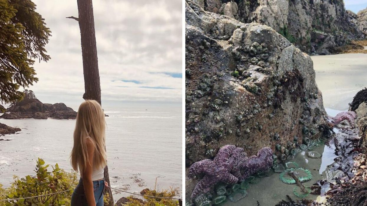 Ashley Harris on Vancouver Island. Right: Sea stars on Vancouver Island.