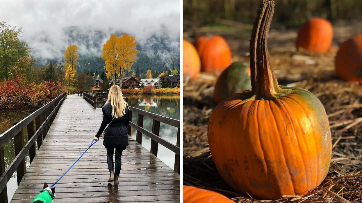 Ashley Harris. Right: A pumpkin.