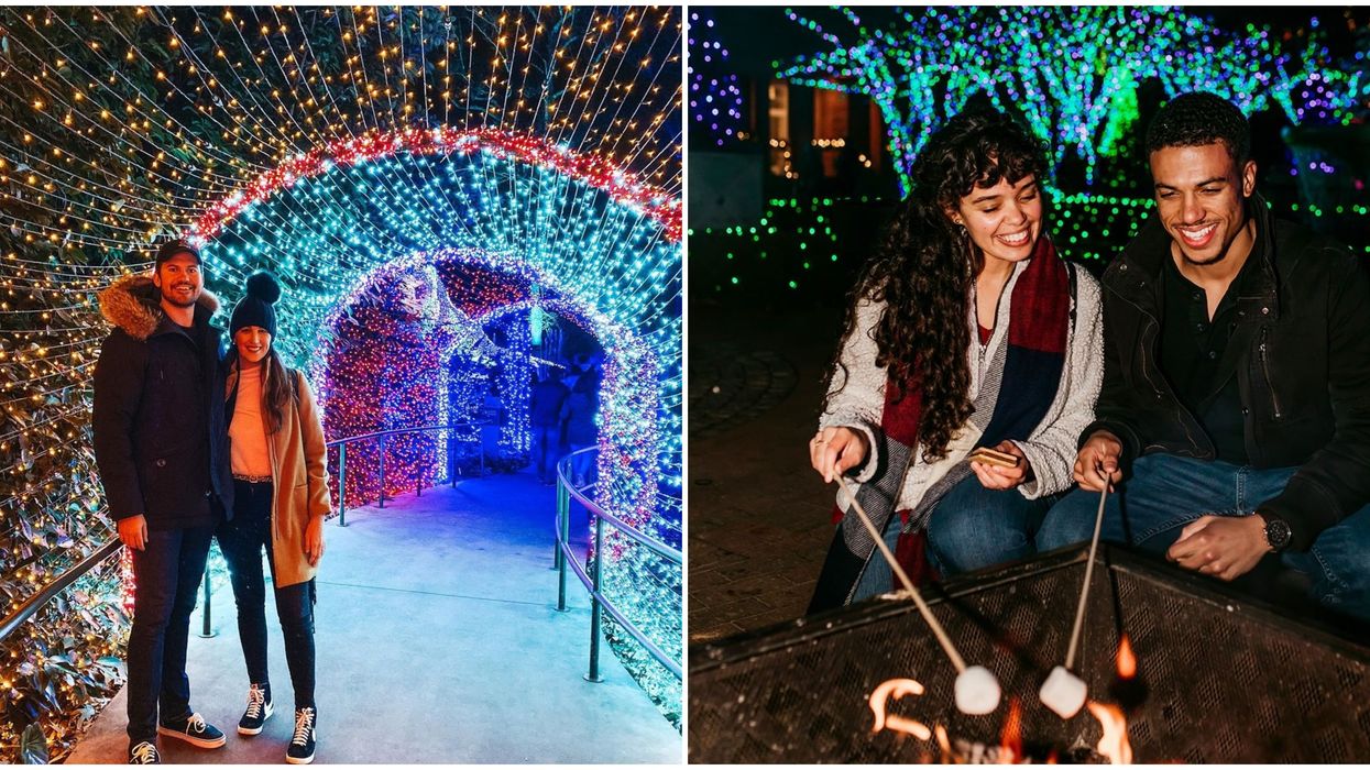 Atlanta Botanical garden Light Show Christmas Holiday