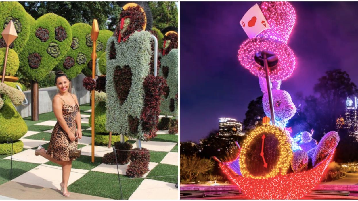 Atlanta Botanical Gardens Has Officially Announced A ...