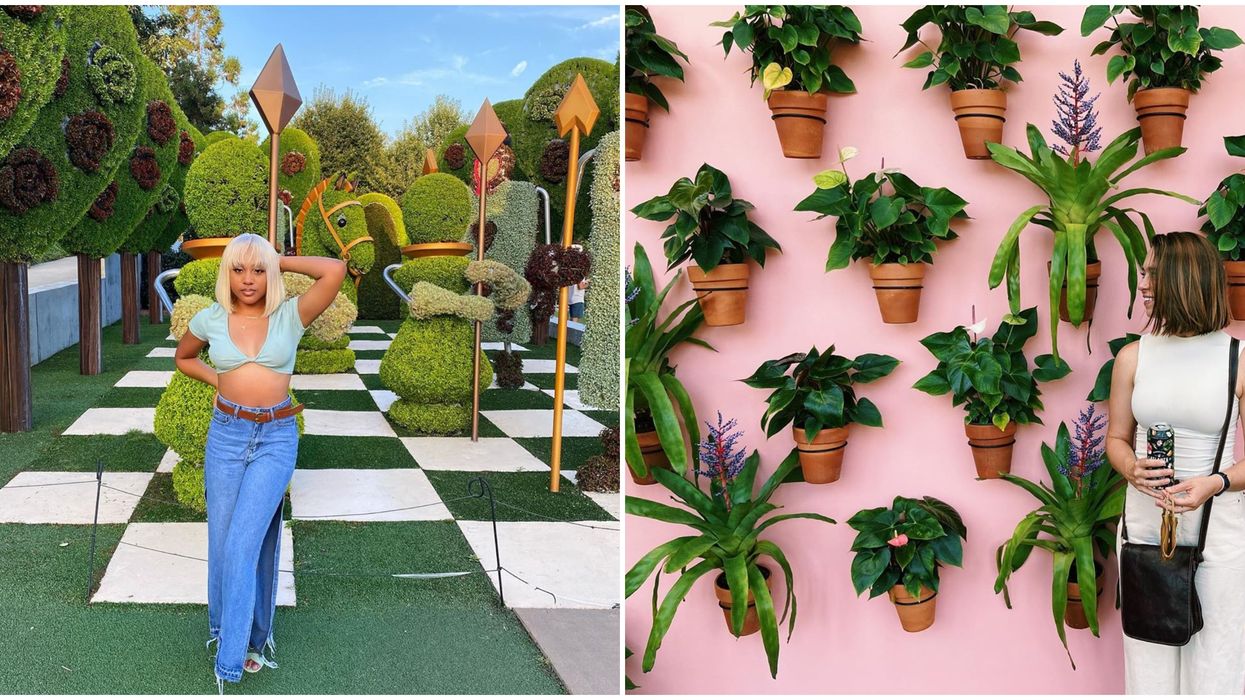 Atlanta Botanical Gardens Is Having A Wonderland Cocktail Party All September Long