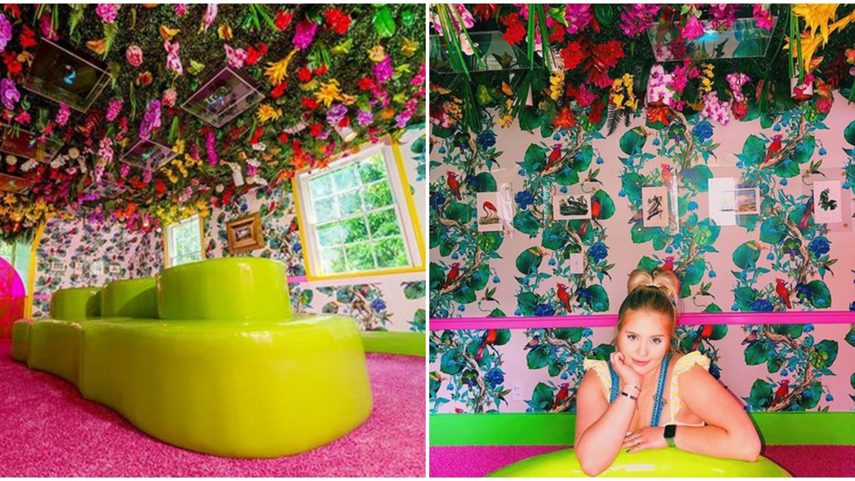 Audubon House In Miami Is A Tropical Art Exhibit That Is Reopening This Summer