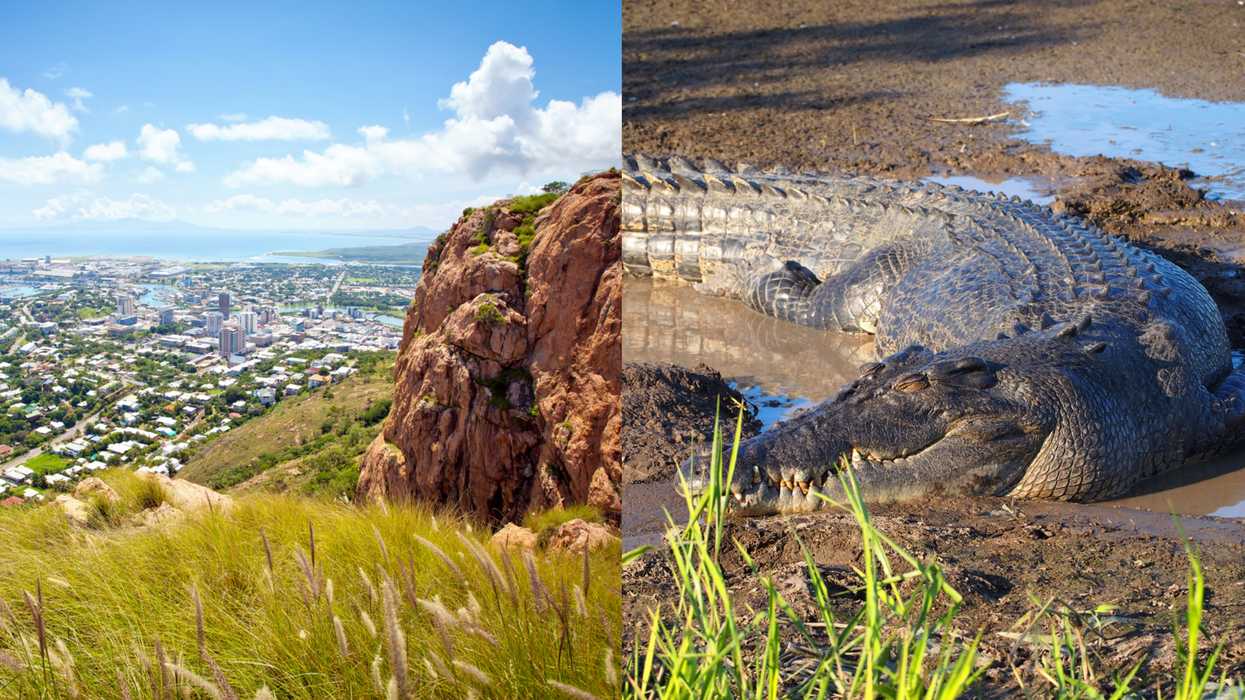 Australian Attacked By A Crocodile Survived By Pulling Its ‘Jaws Off His Head’