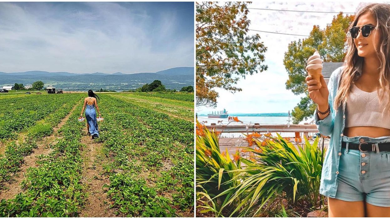 Autocueillette et crème glacée