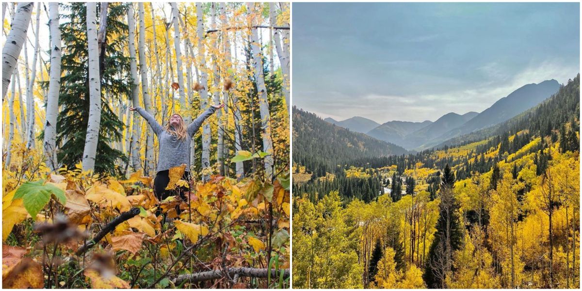 Parts Of Colorado Are Turning Into A Sea Of Fall Colors Right Now (PHOTOS)