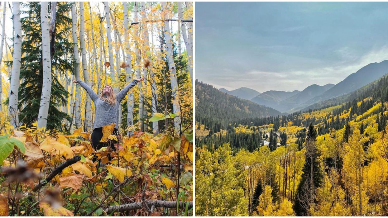 Autumn In Colorado Is The Most Scenic Time Of The Year