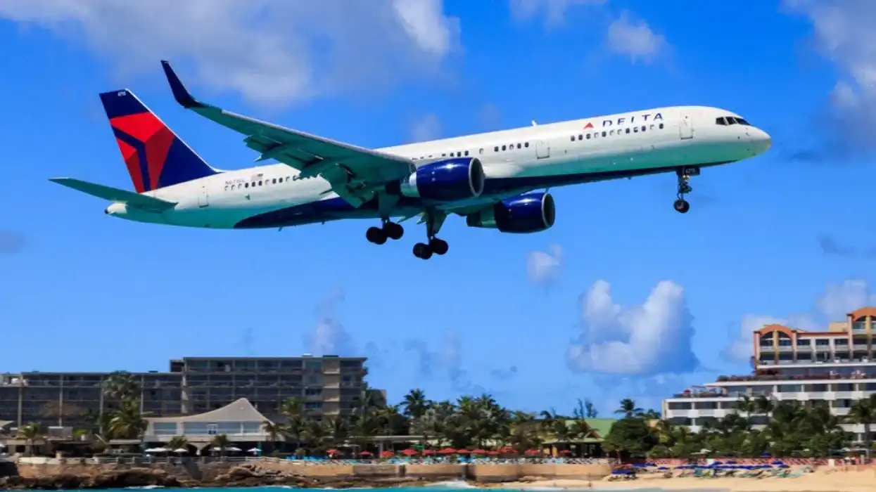 Avion Delta qui survole une plage entourée de palmiers.