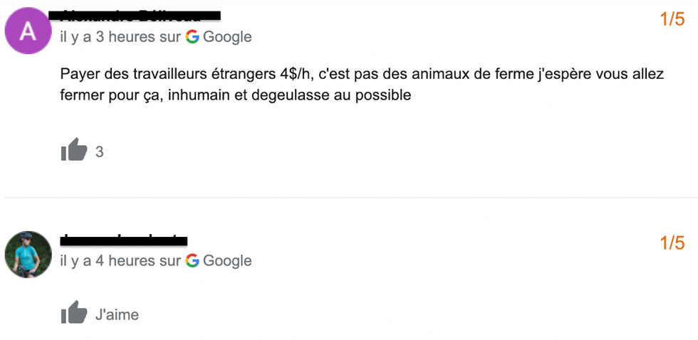 Avis Google.