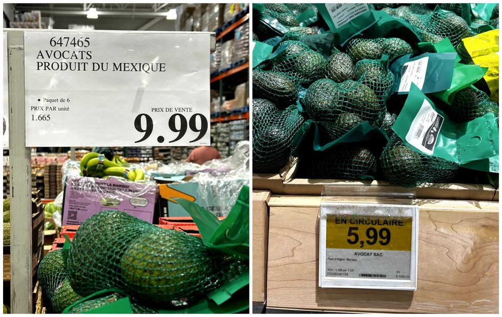 Avocats en vente au Costco. Droite : Avocats en vente au Maxi.