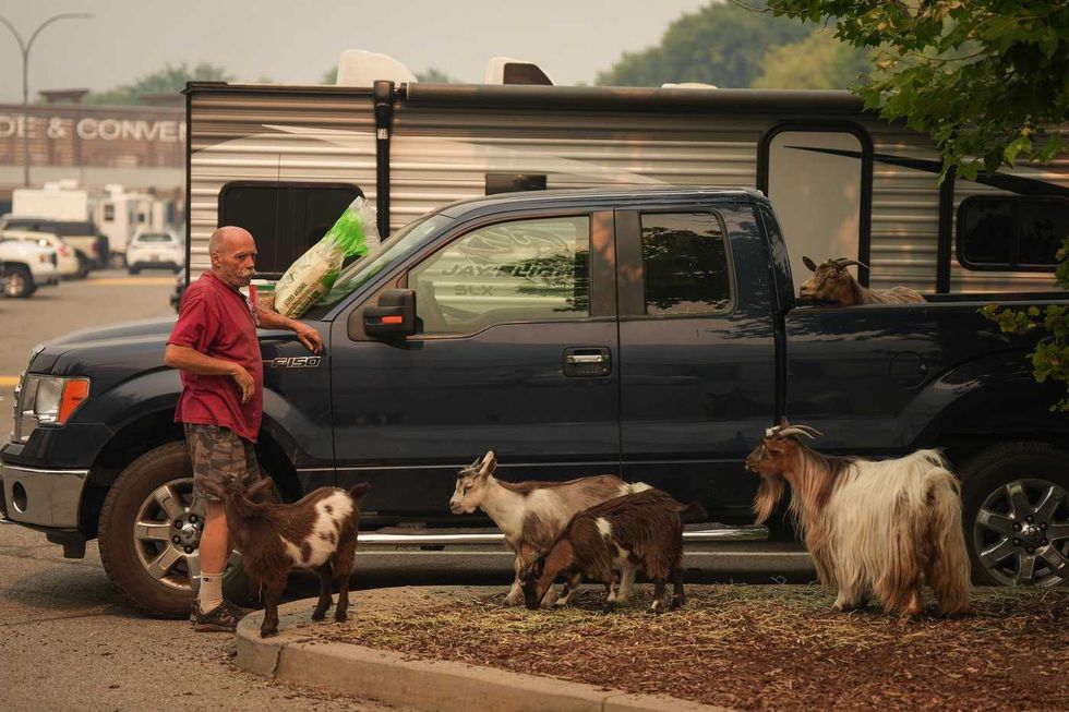 B.C. fire evacuees tell of 'pandemonium'