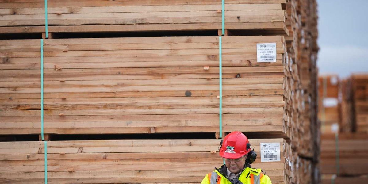 B.C. forestry leader backs Canada’s trade walkout despite possible softwood progress B.C. forestry leader backs Canada’s trade walkout despite possible softwood progress