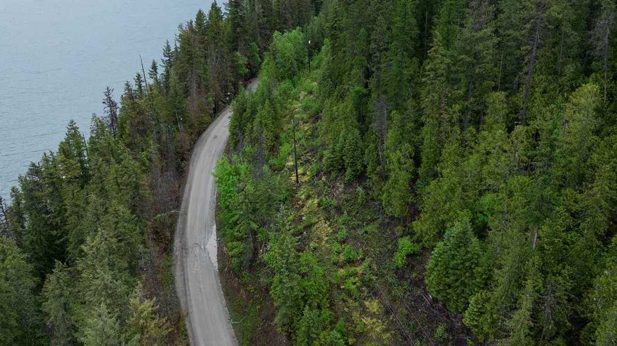 B.C. murder suspect says he attempted suicide