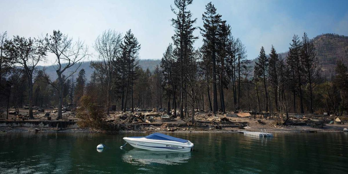 B.C. police launch wildfire arson investigations, as blazes raise trauma in Shuswap B.C. police launch wildfire arson investigations, as blazes raise trauma in Shuswap