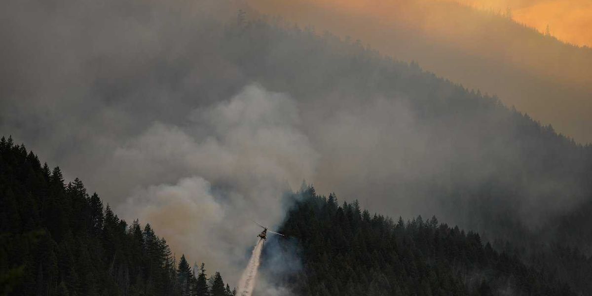 Here are the latest numbers on British Columbia’s wildfire season Here are the latest numbers on British Columbia’s wildfire season