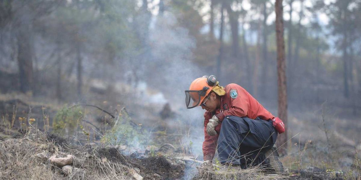 Wildfire is held in West Kelowna, B.C., after forcing hundreds to flee Wildfire is held in West Kelowna, B.C., after forcing hundreds to flee