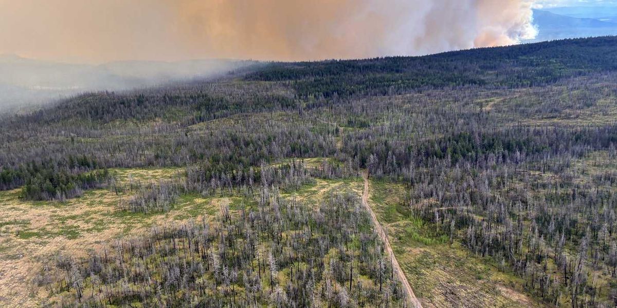 Pilot injured after helicopter crash during wildfire fight in B.C. Pilot injured after helicopter crash during wildfire fight in B.C.