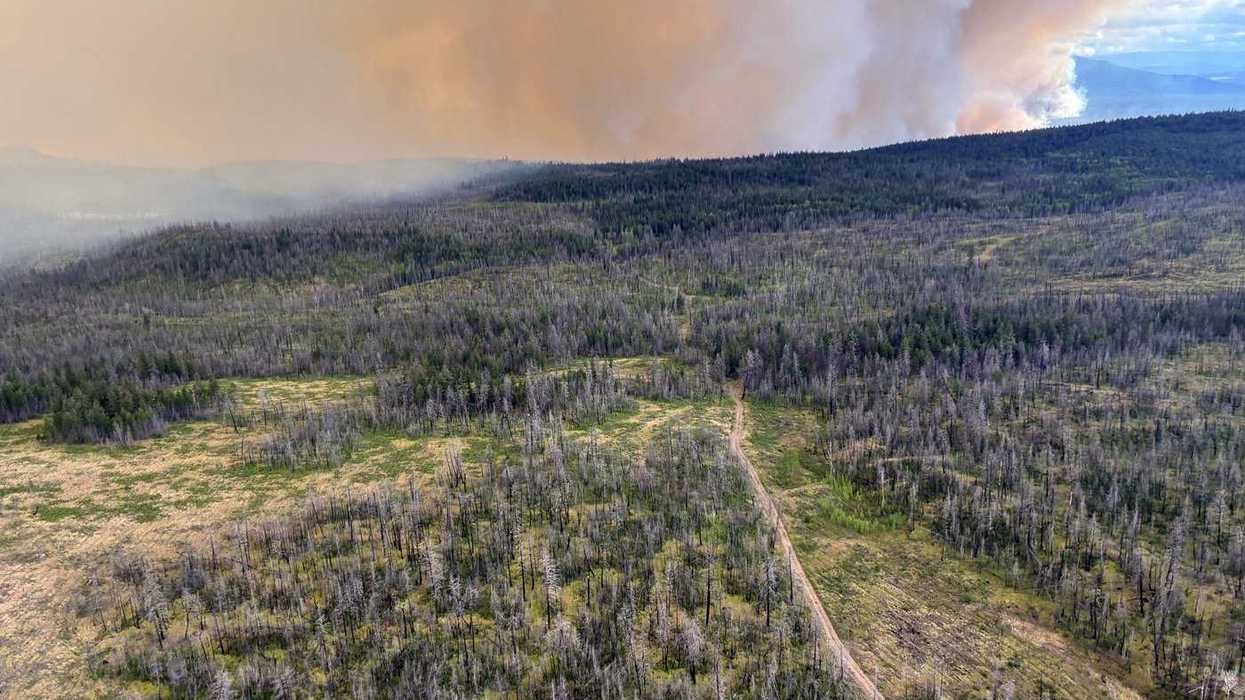 B.C. wildfire pilot injured in crash