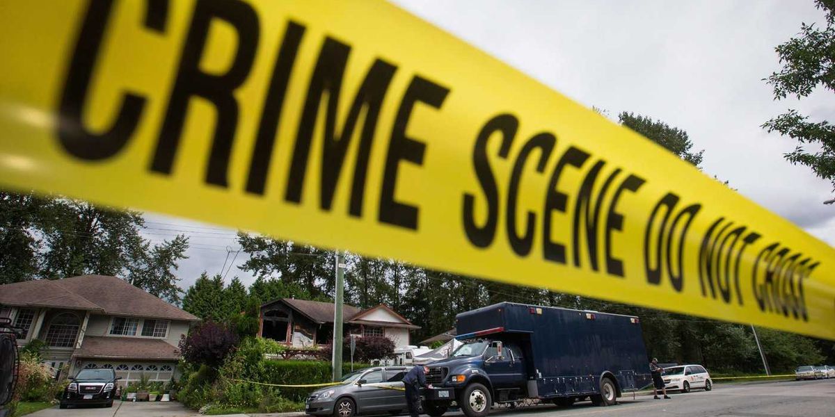 B.C. dog owner charged after mauling left woman with ‘life-altering’ injuries B.C. dog owner charged after mauling left woman with ‘life-altering’ injuries