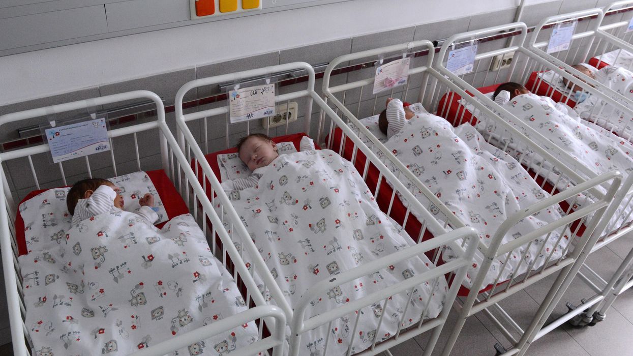 Babies in a maternity hospital.