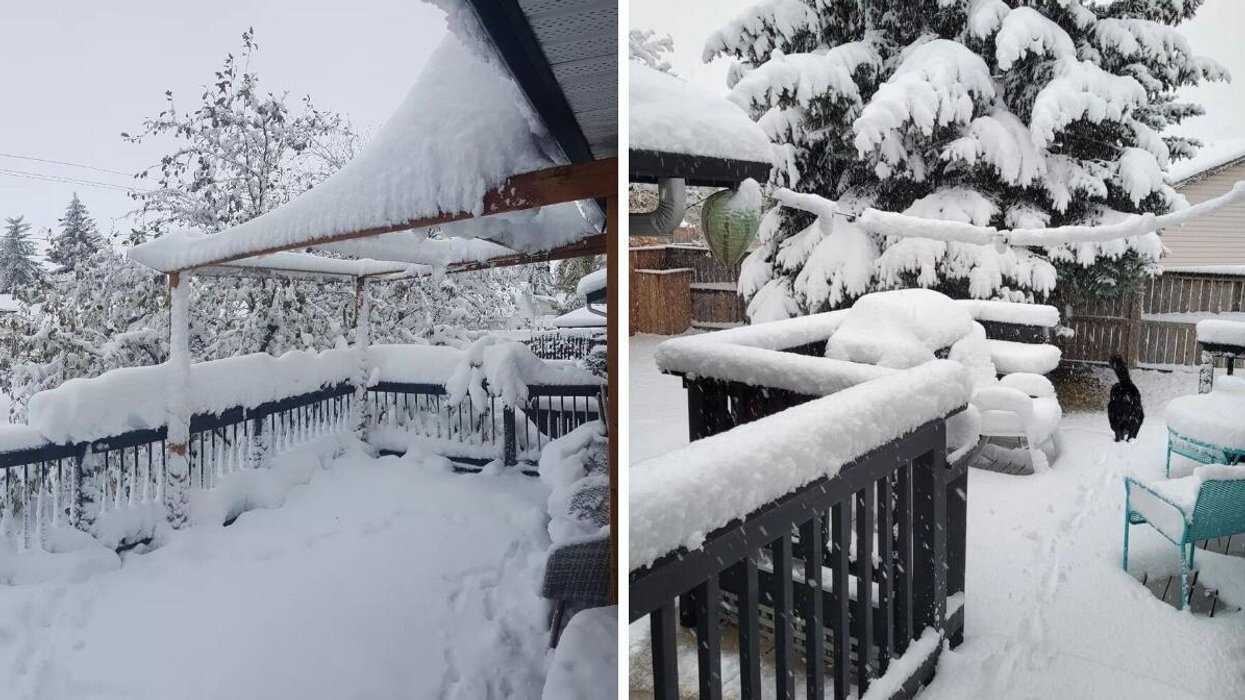 Canada's Winter Weather Is Back & The First Major Snowfall Dropped 40 ...