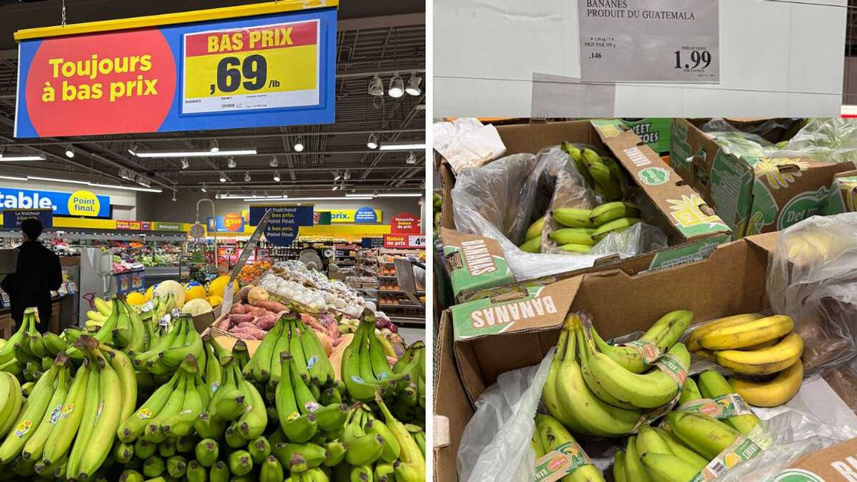 Bananes en vente au Maxi. Droite : Bananes en vente au Costco.