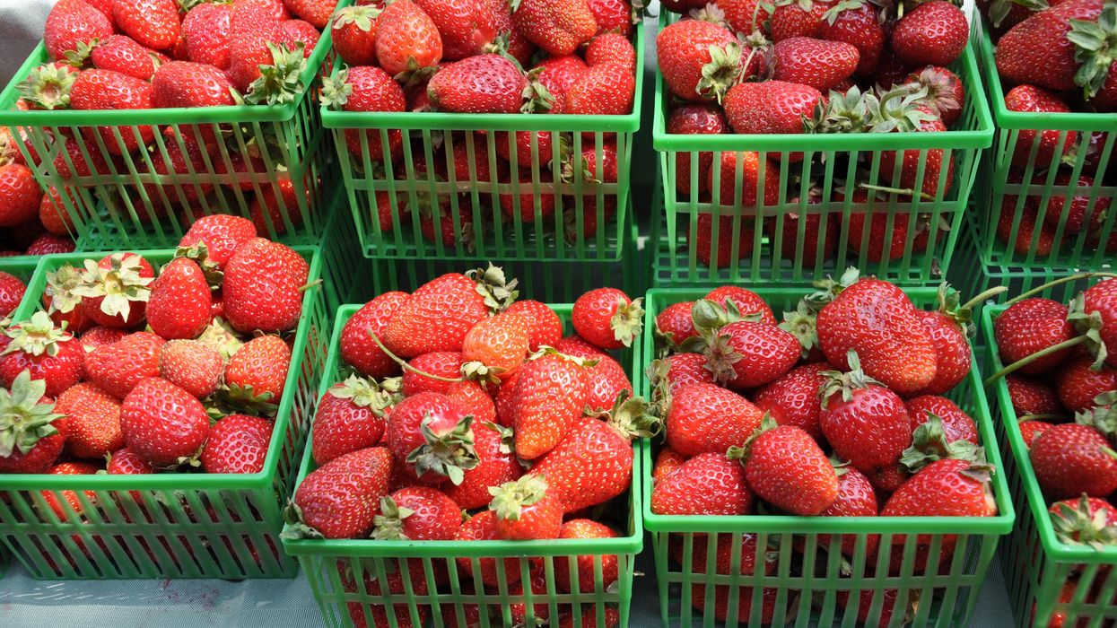 Baskets of strawberries.