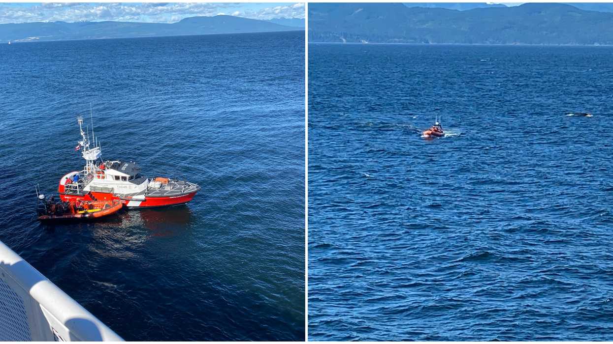BC Ferries Joined A Search-And-Rescue Mission On Sunday To Save 3 Stranded Boaters (VIDEO)