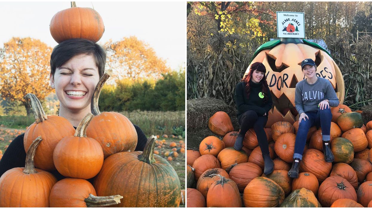 BC Pumpkin Patch Has A Secret Drive-Thru In A 4-km Loop