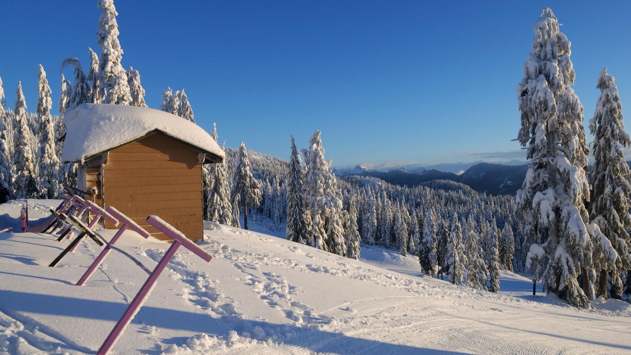 BC's December Forecast Is Out & After All The Storms There's Good News For The Holidays