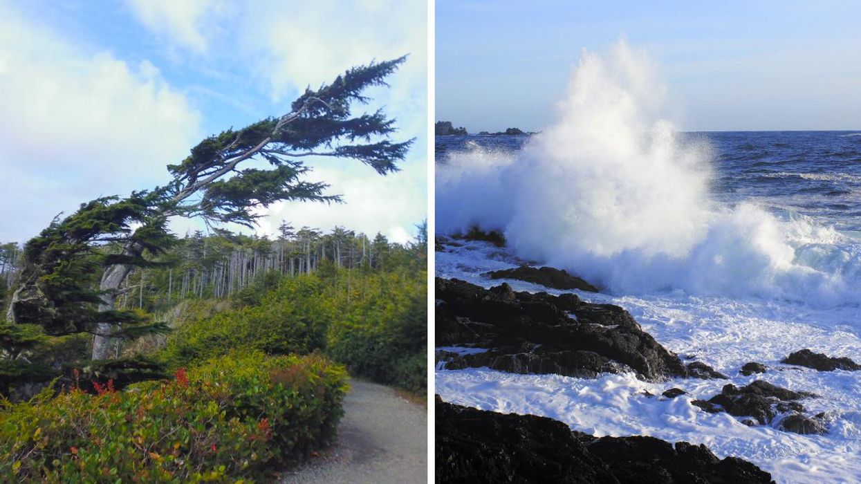 BC's Weather Forecast Is Calling For Even More Wind After Saturday's 'Rare' Tornado
