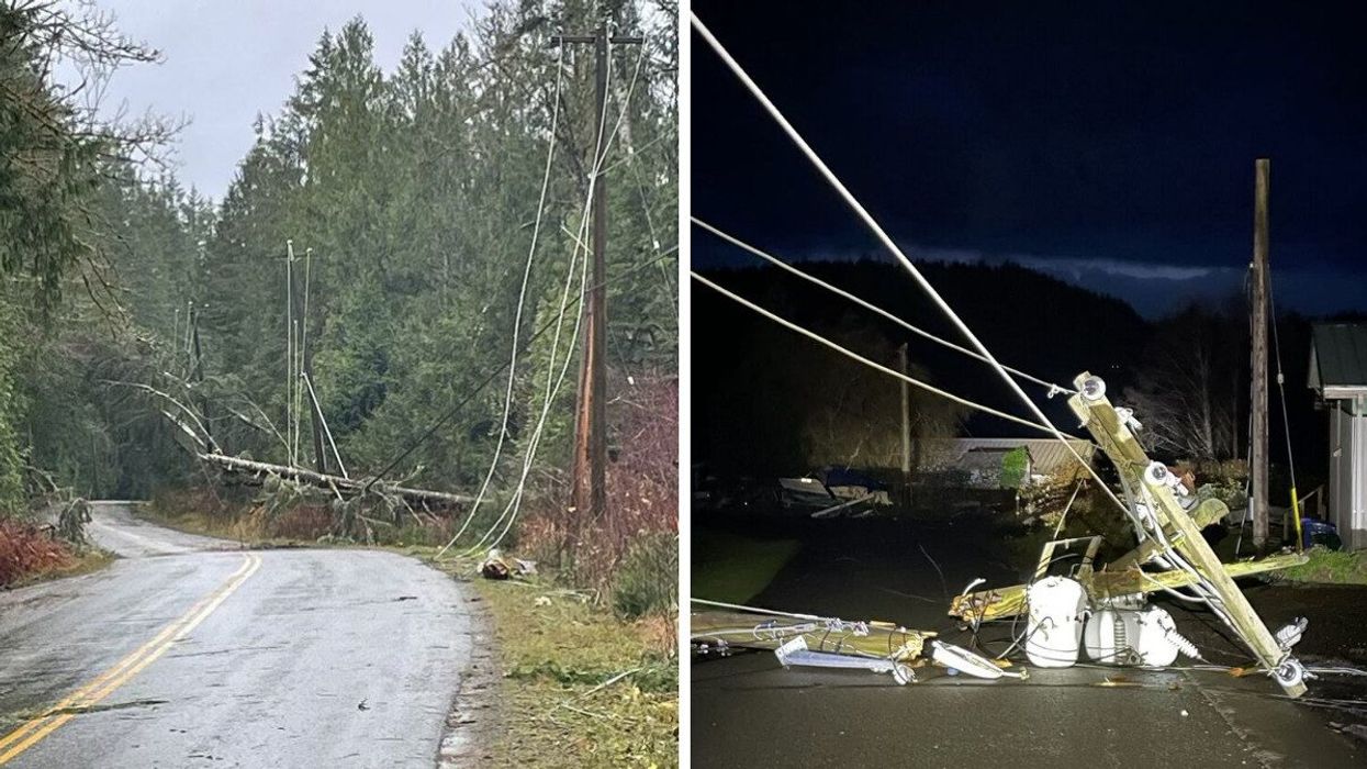 BC Storm.