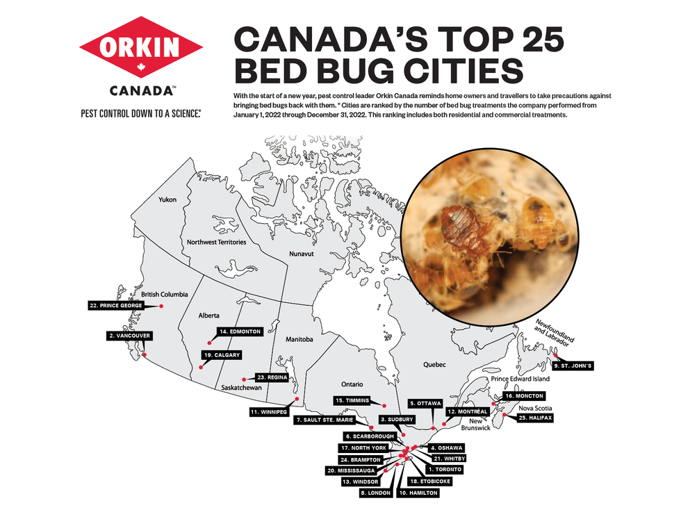 Bed bug cities in Canada.
