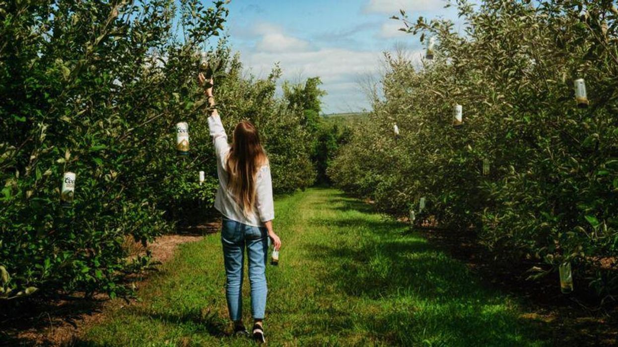'Beer Picking’ Is This Year’s Ultimate Fall Activity & You Can Do It Just Outside Of Toronto