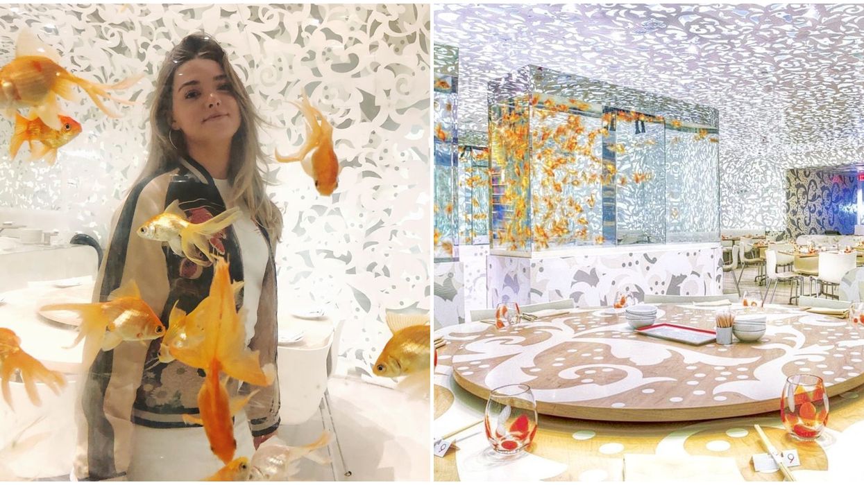 Beijing Noodle No. 9 In Las Vegas Feels Like You're Dining 'Under The sea'