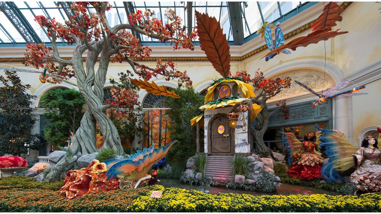 Bellagio Las Vegas Conservatory & Botanical Gardens Is A Fall Wonderland Now (VIDEO)