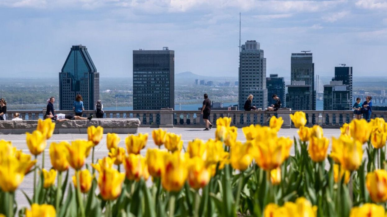 Belvédère Kondiaronk au sommet du mont Royal à Montréal.