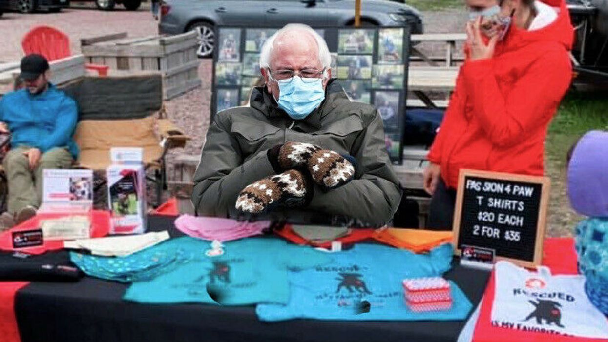 Bernie Sanders Mittens Meme Grumpy Bernie Jen Ellis Vermont
