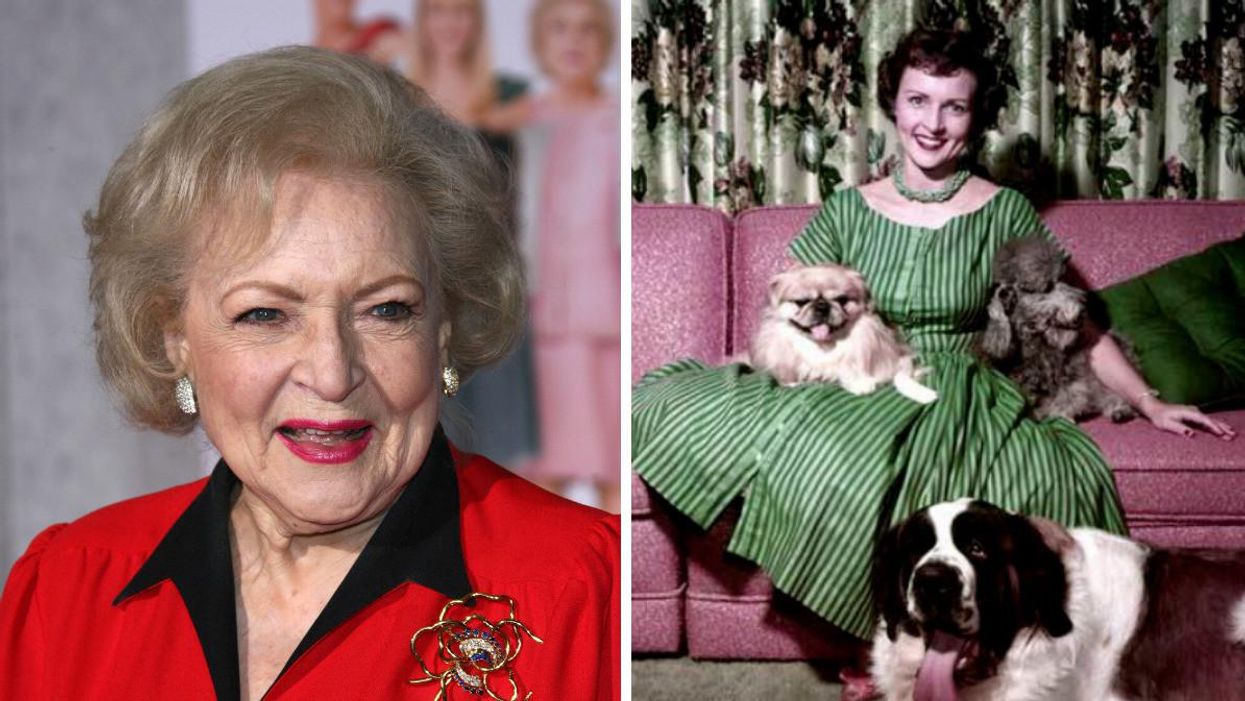 Betty White Fans Just Helped BC SPCA Raise $166K & It's The Most Wholesome Thing Today