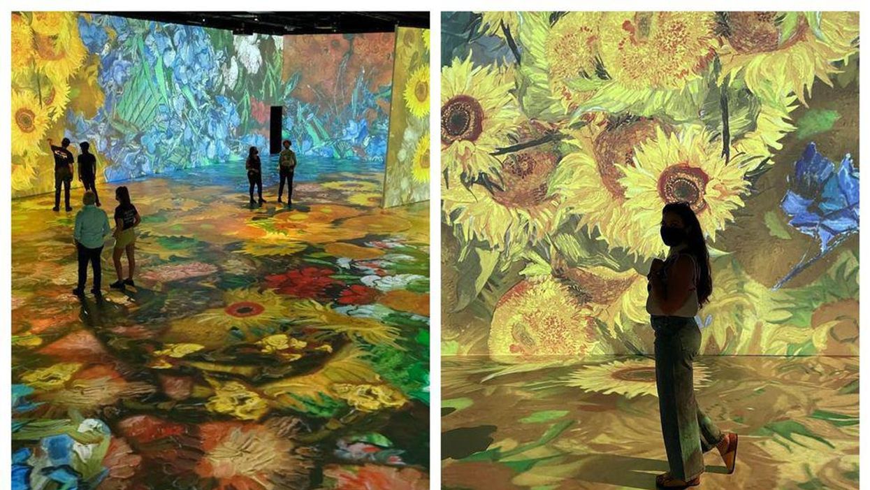 Beyond Van Gogh: An Immersive Experience Is Coming To Calgary This Summer