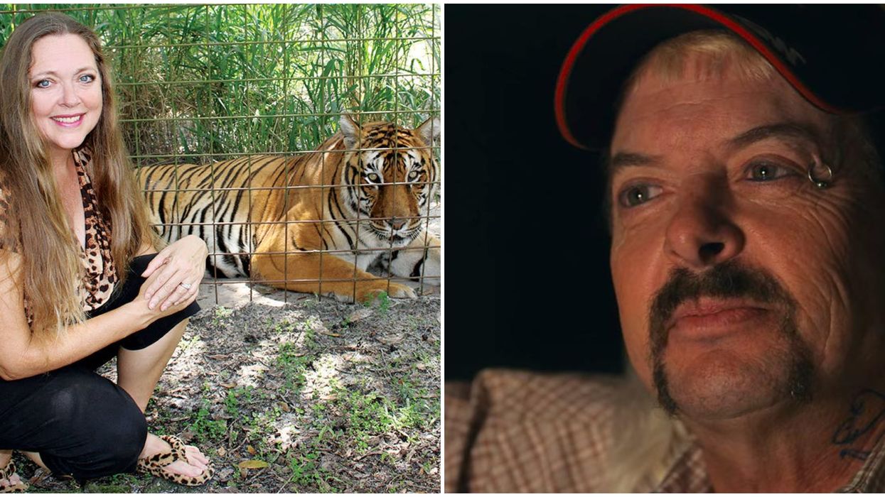 Big Cat Rescue's Carole Baskin Granted Control Over 'Tiger King' Joe Exotic's Old Zoo