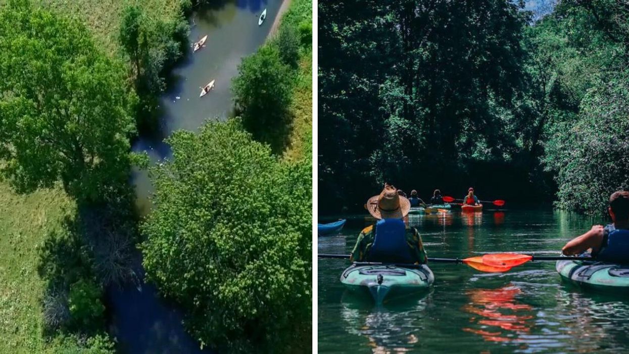 Big Creek Kayak Tour at Long Point Eco-Adventures.