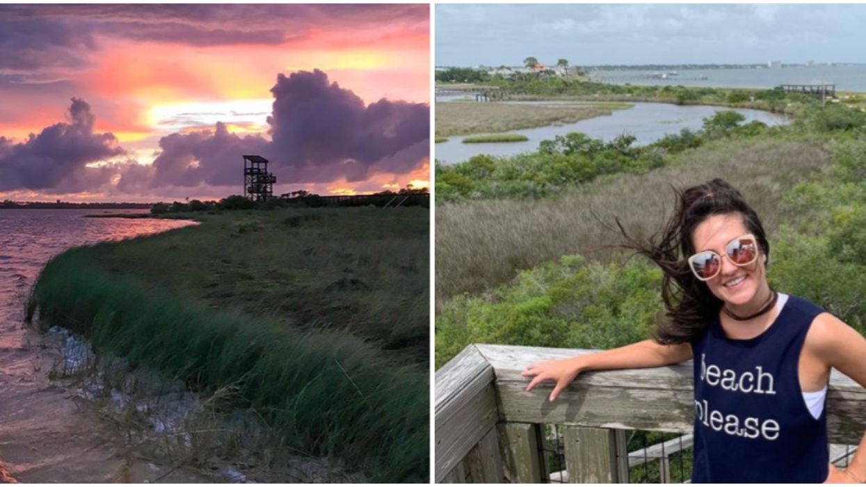 Big Lagoon State Park Near Pensacola Offers Sky High Views Of Florida's Landscape